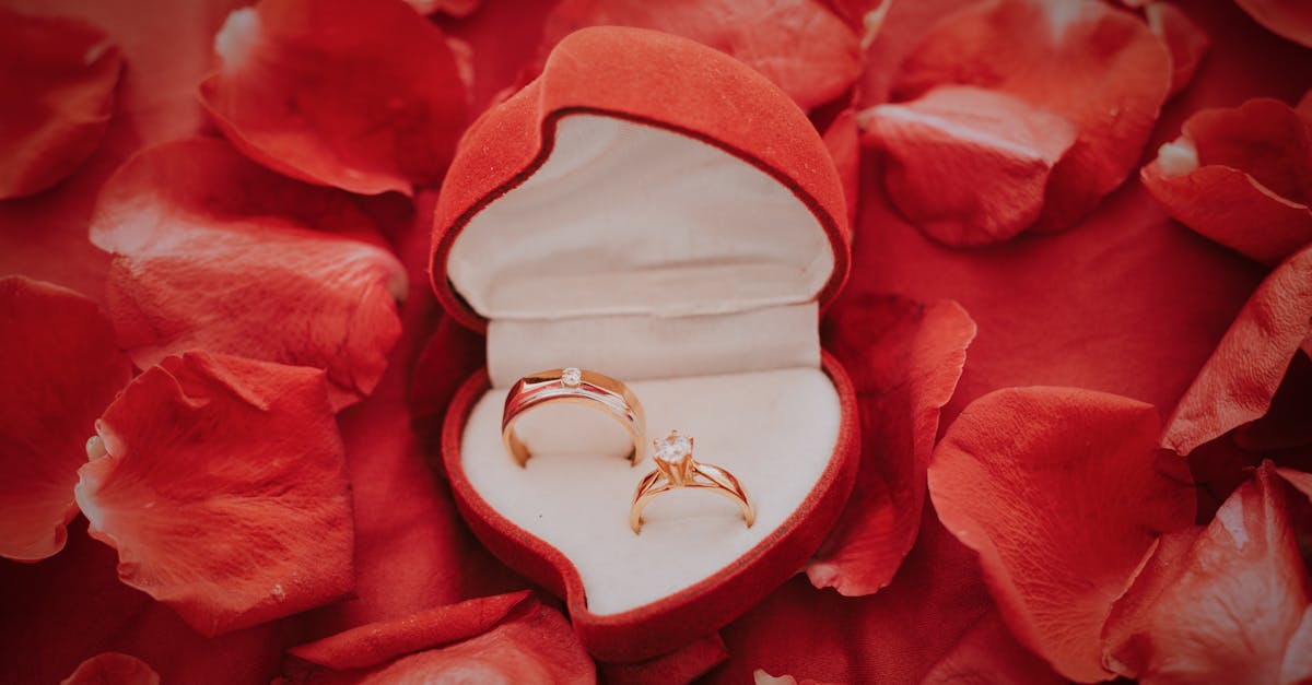 découvrez notre sélection élégante de bijoux de mariage pour sublimer votre tenue de mariée : colliers, boucles d’oreilles, bracelets et accessoires raffinés pour un jour inoubliable.