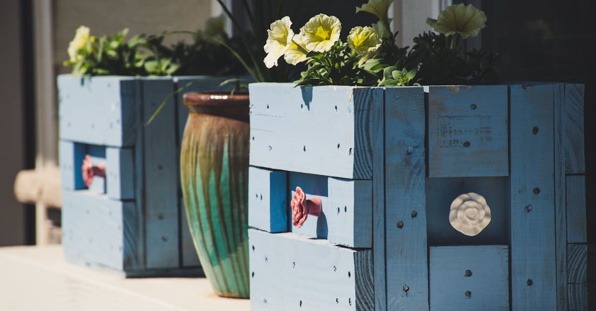 découvrez des idées diy faciles et créatives pour personnaliser votre intérieur, recycler des objets et réaliser des projets maison uniques. suivez nos tutoriels pas à pas pour exprimer votre créativité !