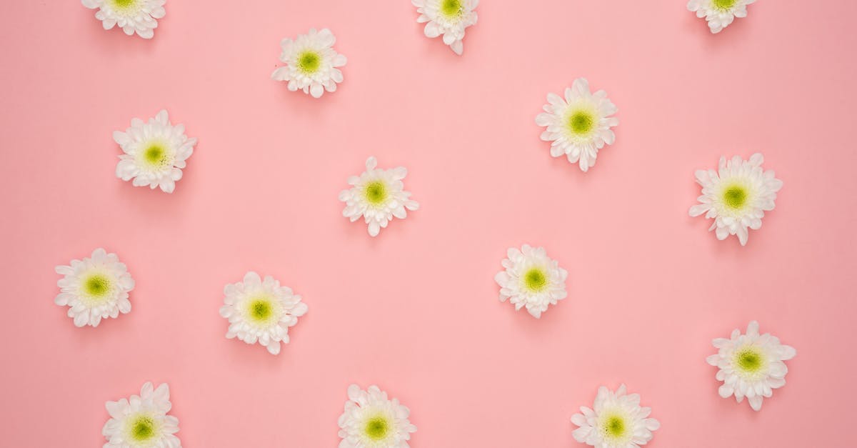 découvrez l'art de la décoration florale : conseils, inspirations et idées créatives pour embellir votre intérieur et vos événements avec des compositions florales élégantes et originales.