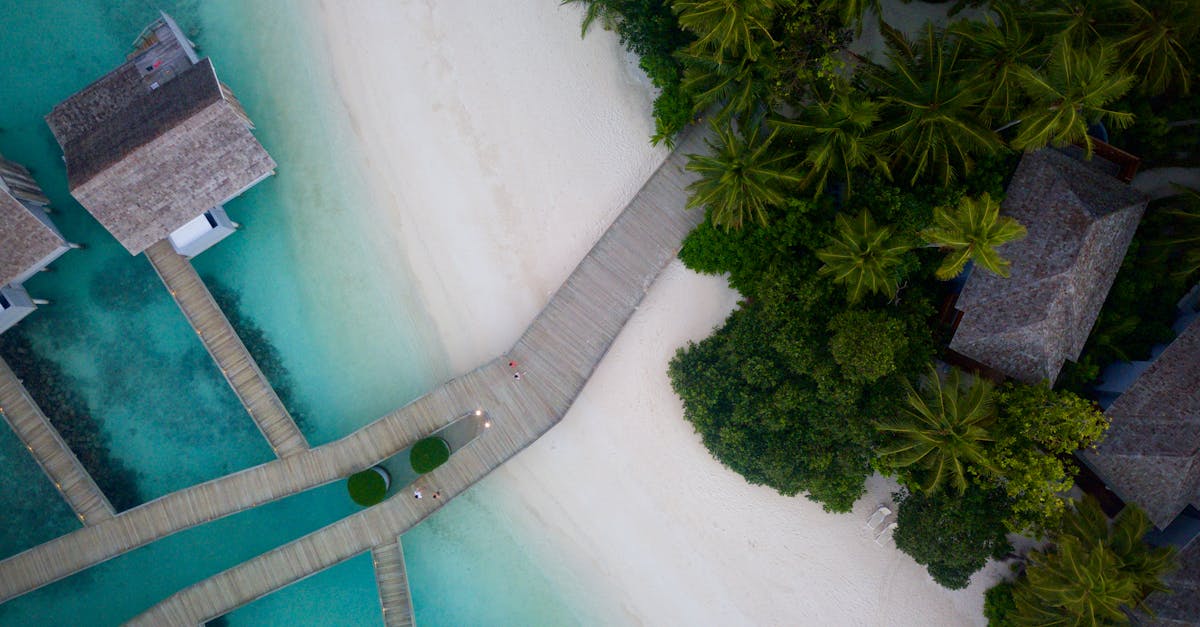 découvrez les meilleures destinations pour une lune de miel inoubliable : plages paradisiaques, villes romantiques et escapades exotiques pour célébrer votre amour dans les plus beaux endroits du monde.