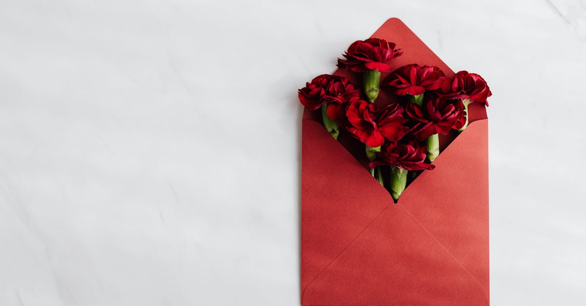découvrez l'art du mariage minimaliste : conseils, inspirations et astuces pour organiser une cérémonie élégante et épurée, centrée sur l’essentiel et l’émotion.