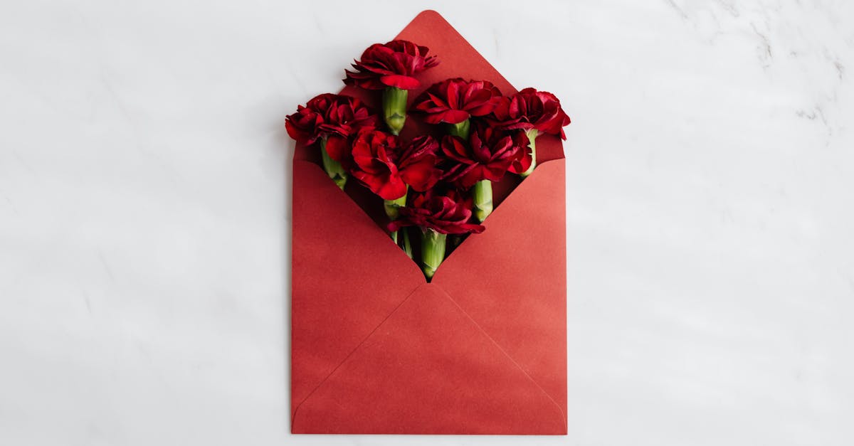 découvrez comment organiser une surprise ceremony inoubliable pour vos proches : idées originales, conseils d’experts et inspirations pour un moment unique et magique.