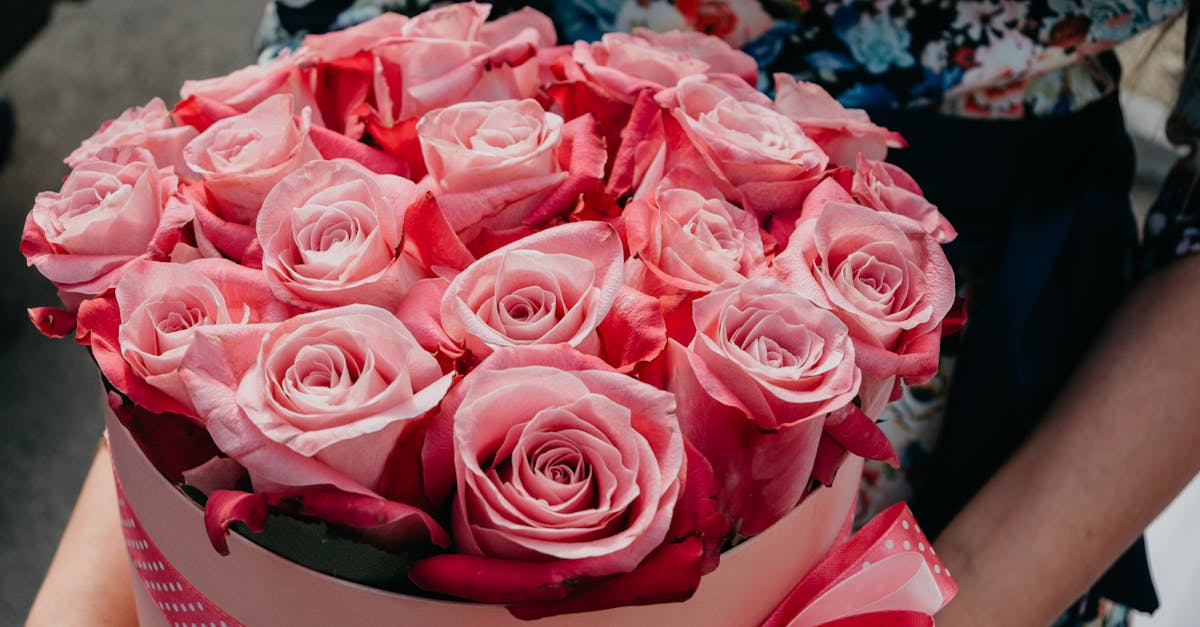 découvrez les meilleures idées de mariage pour organiser une cérémonie unique et personnalisée : décoration, thèmes originaux, tenues, conseils et inspirations pour un jour inoubliable.