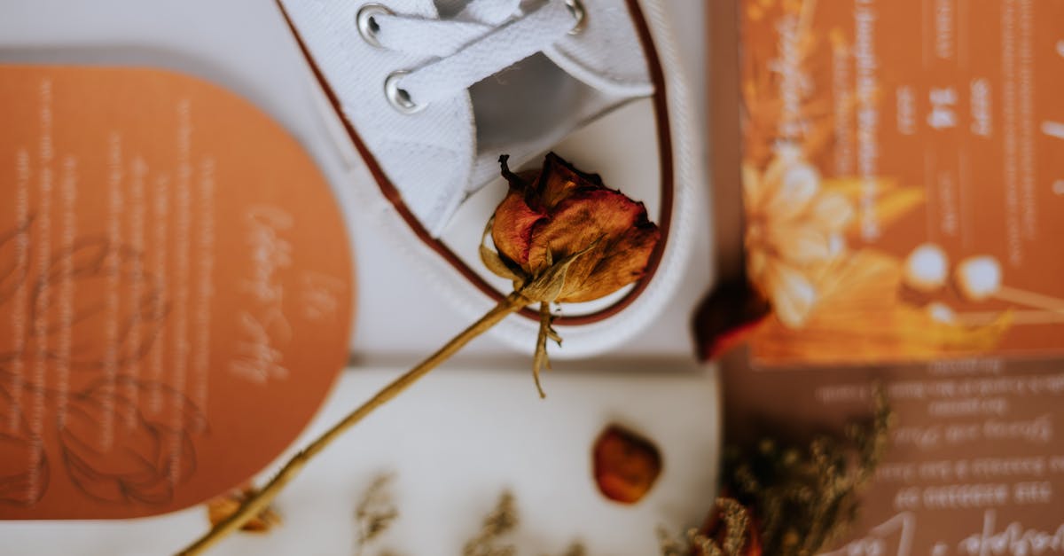 découvrez nos magnifiques invitations de mariage personnalisées, élégantes et raffinées pour annoncer le plus beau jour de votre vie. commandez facilement vos faire-part uniques en ligne !