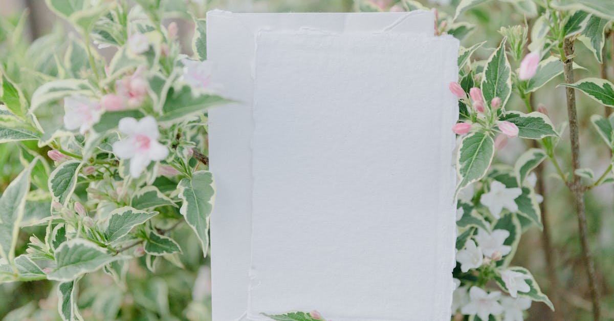 organisez un mariage éco-responsable grâce à des idées durables et respectueuses de l’environnement : décoration, invitations, tenues et conseils pour célébrer votre union tout en préservant la planète.