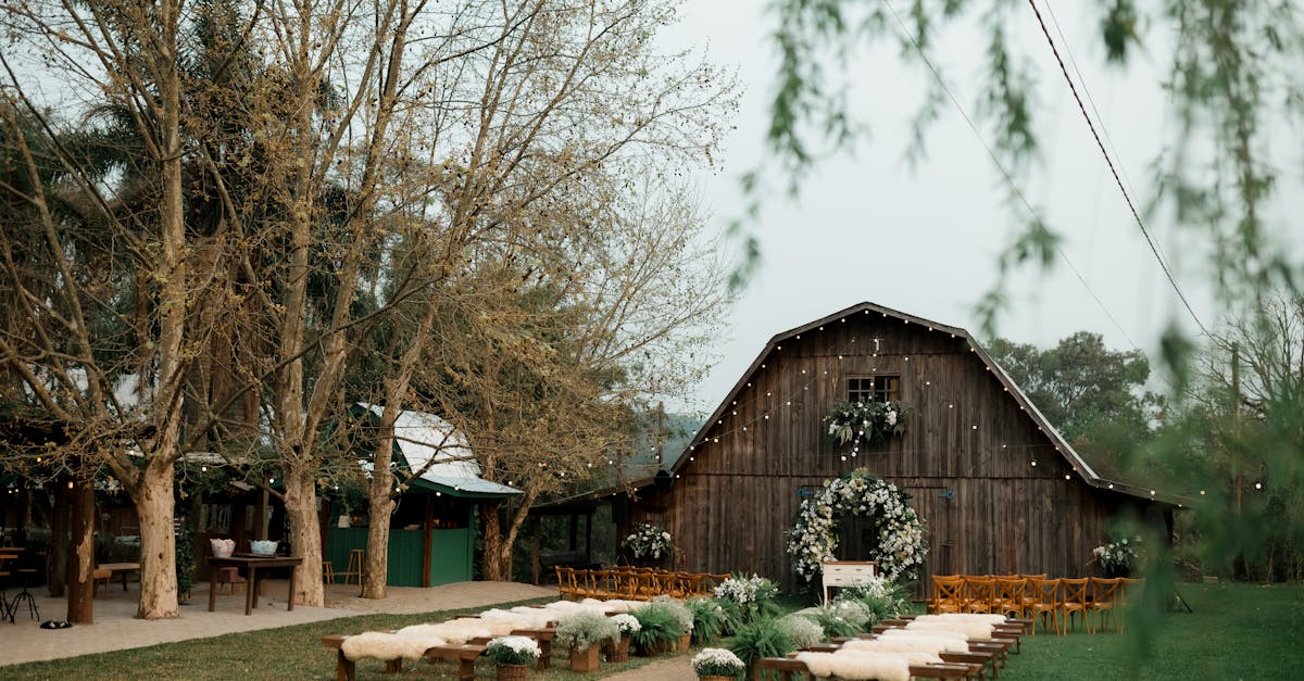 organisez un mariage éco-responsable inoubliable grâce à nos conseils et idées pour une célébration respectueuse de l’environnement, alliant élégance et durabilité.