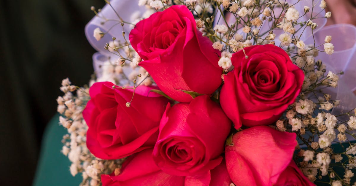 organisez un mariage éco-responsable grâce à nos conseils pour une célébration respectueuse de l’environnement : idées de décoration, tenues durables et solutions zéro déchet.