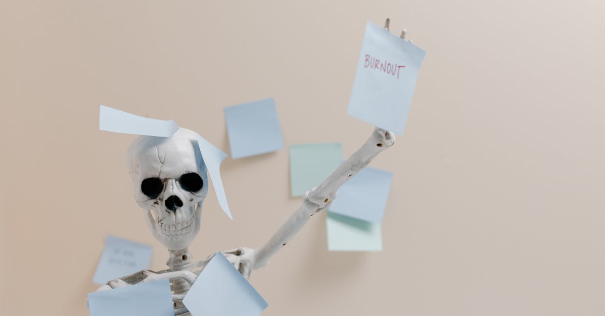 découvrez tout ce qu'il faut savoir sur la guest list : astuces, organisation, exemples et conseils pratiques pour gérer efficacement votre liste d'invités lors de vos événements.